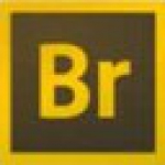 Adobe Bridge CC 