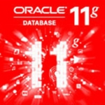 Oracle 11g