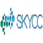 skycc网址存活与收录批量查询工具