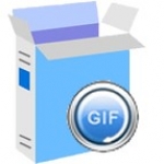 Amazing GIF to Video Converter