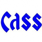 南方cass